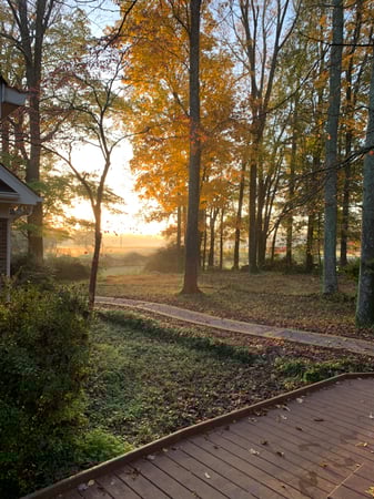 Sunrise at 406 Homestead Road