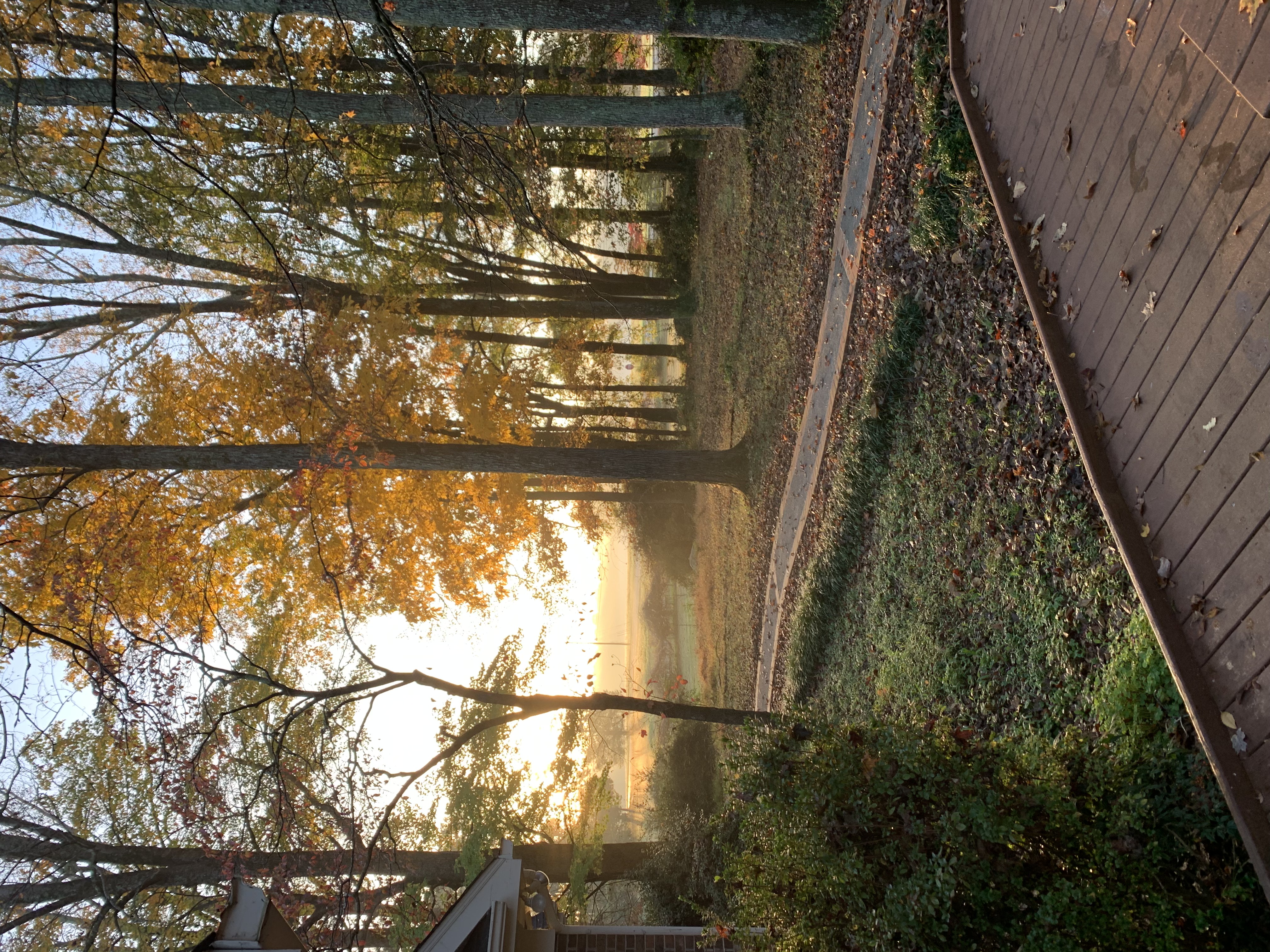 Sunrise at 406 Homestead Road